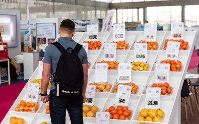 نمایشگاه صنعت میوه